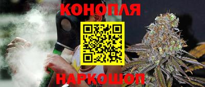 ешки Гатчина