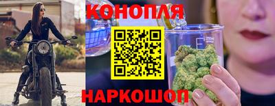ешки Гатчина