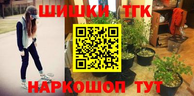 ешки Гатчина
