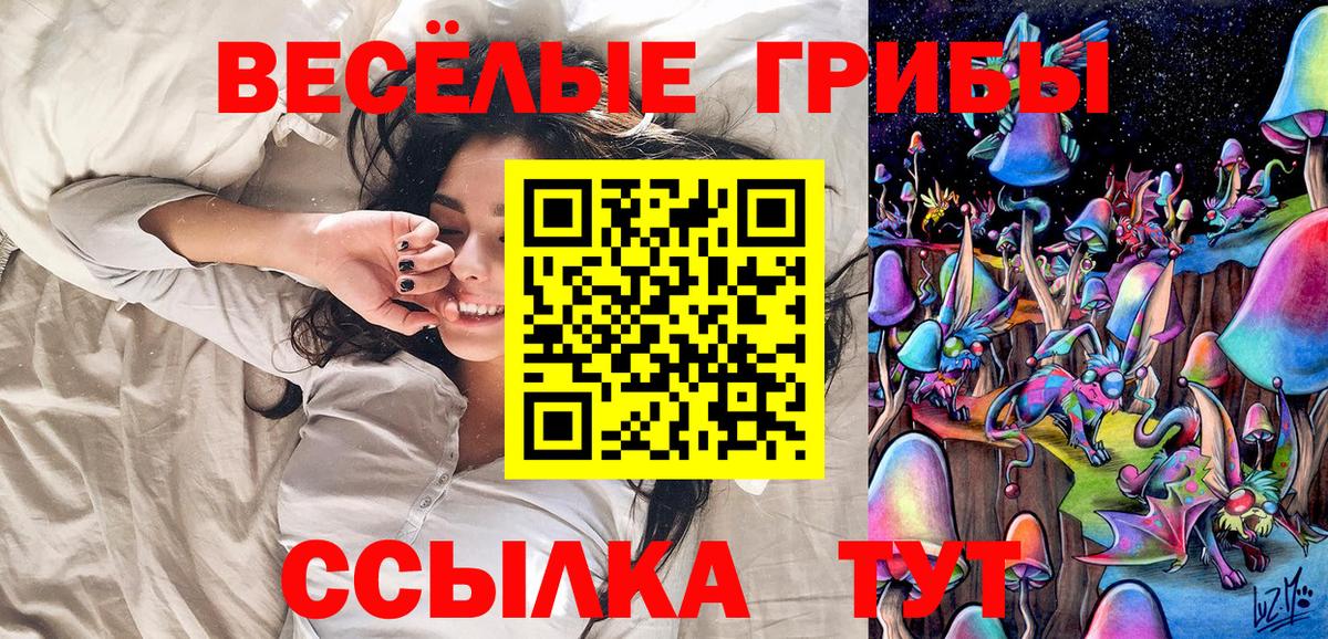 Псилоцибиновые грибы мухоморы Нальчик