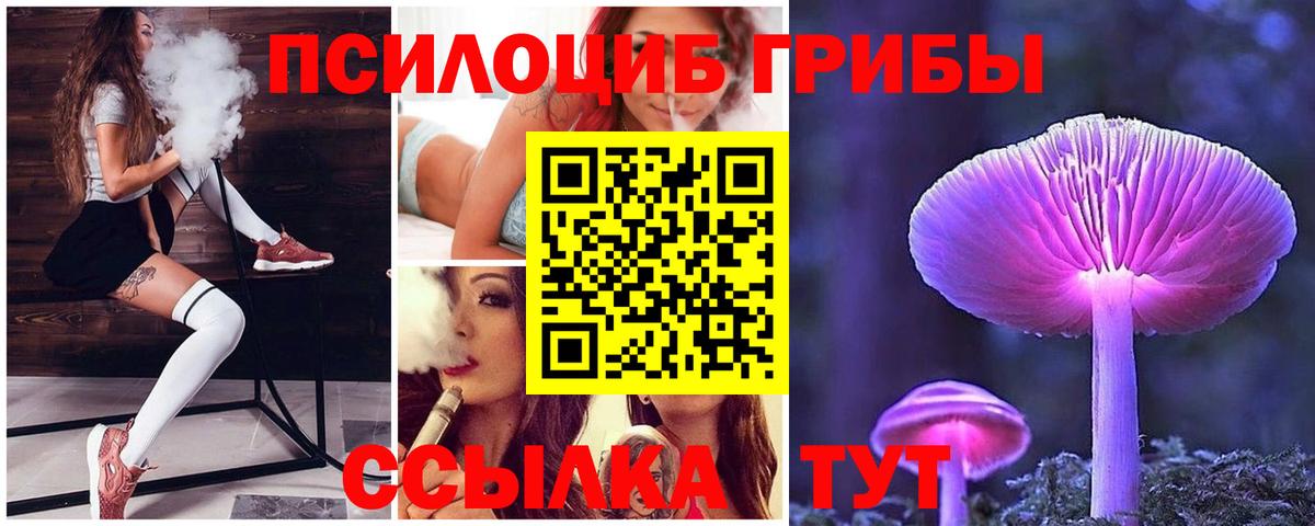 Псилоцибиновые грибы прущие грибы  Вход с VPN  Псилоцибиновые грибы Cubensis  купить наркоту  Нальчик 